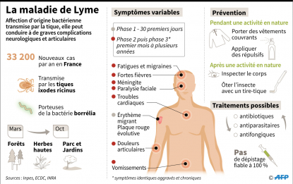 Du Coton Imbibe De Savon Pour Retirer Une Tique Pas Une Bonne Methode Selon Les Experts Factuel