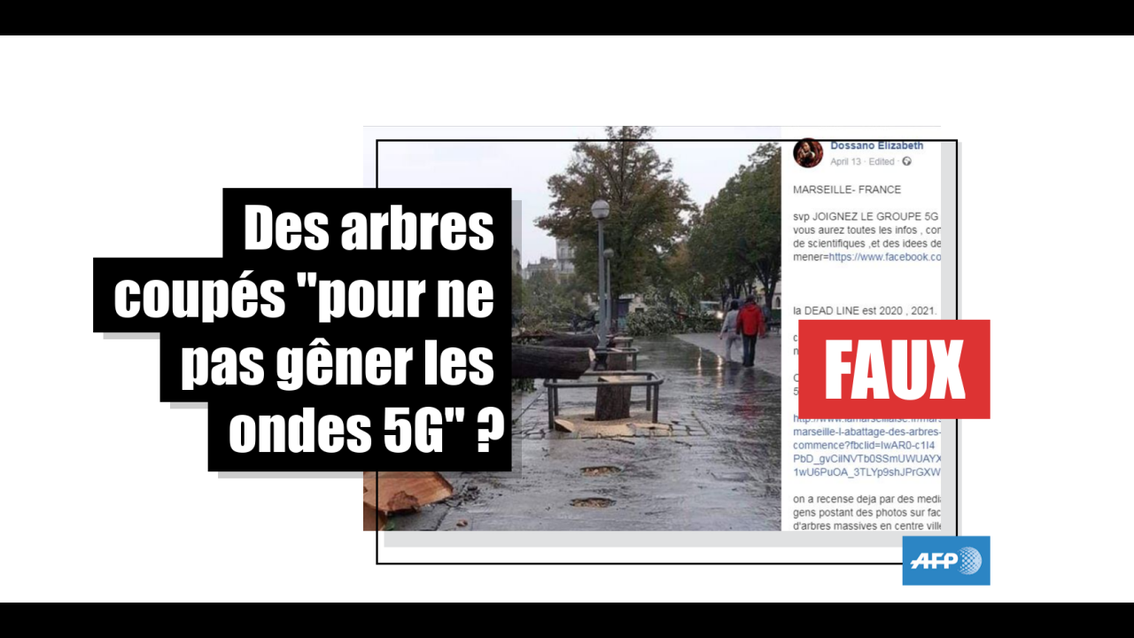 Non, cette photo ne montre pas des arbres "coupés pour la mise en place de  la 5G" | Factuel