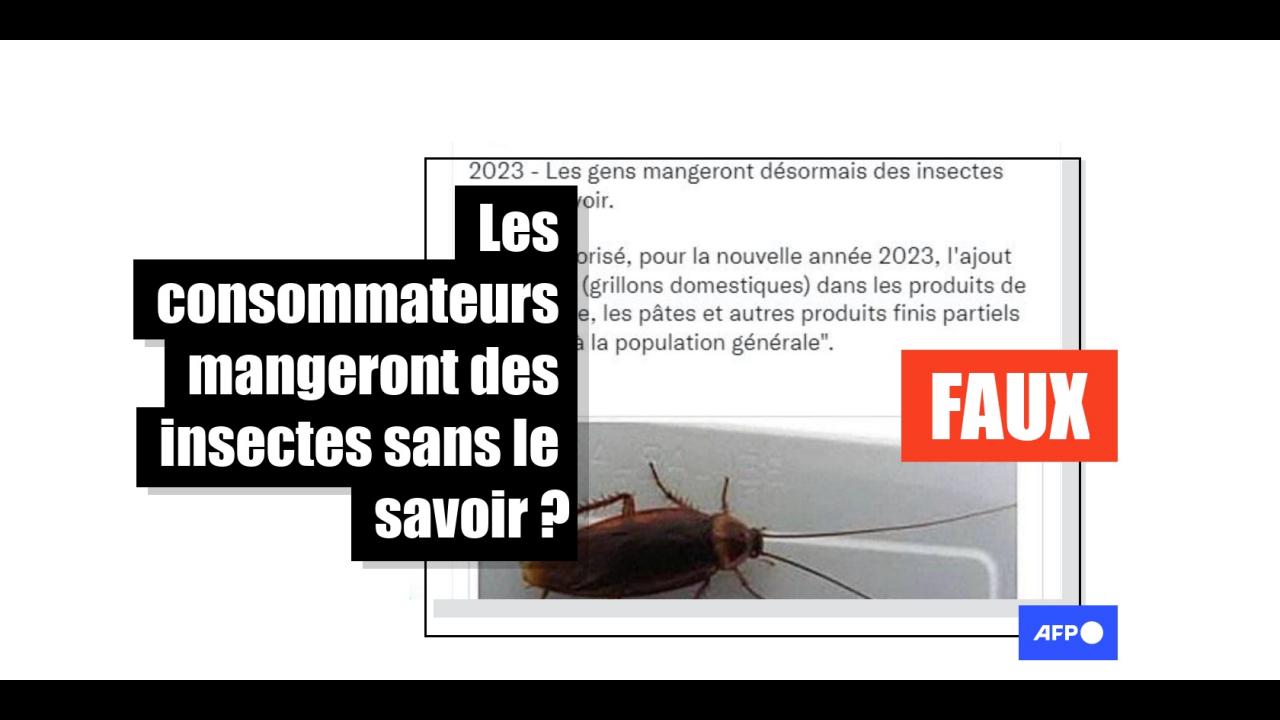 3b94eb0f78cf46608a9cf9d3418d4621.jpeg?itok=nnKW1WIu